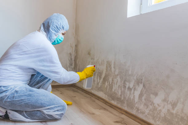 Hvac And Air Duct Mold Remediation inspection of HVAC system in Kensington